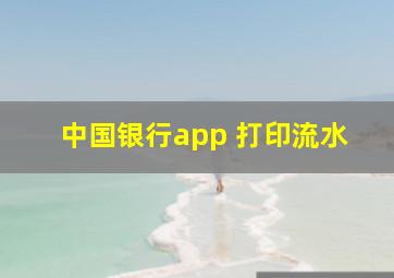 中国银行app 打印流水